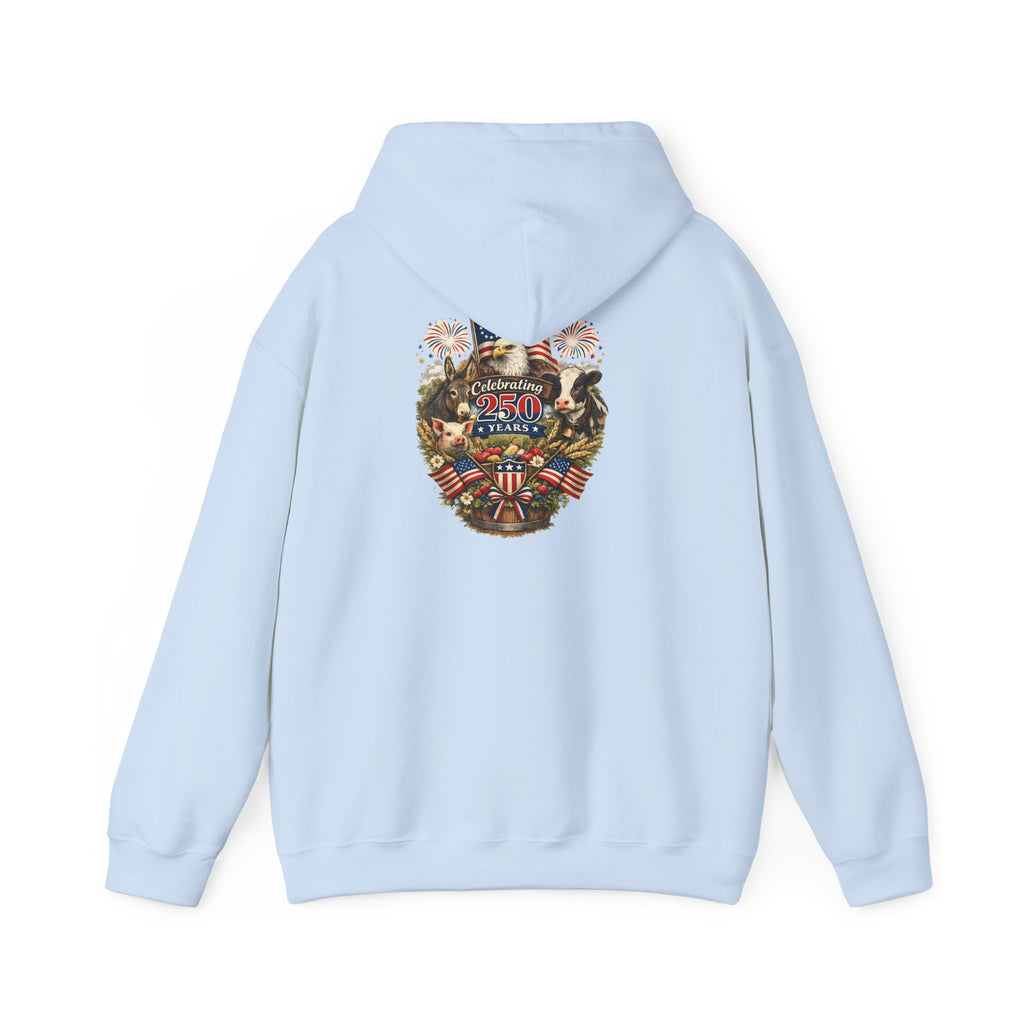 Patriotic Star & Shield Hoodie — USA Flag Graphic Pullover for 4th of July