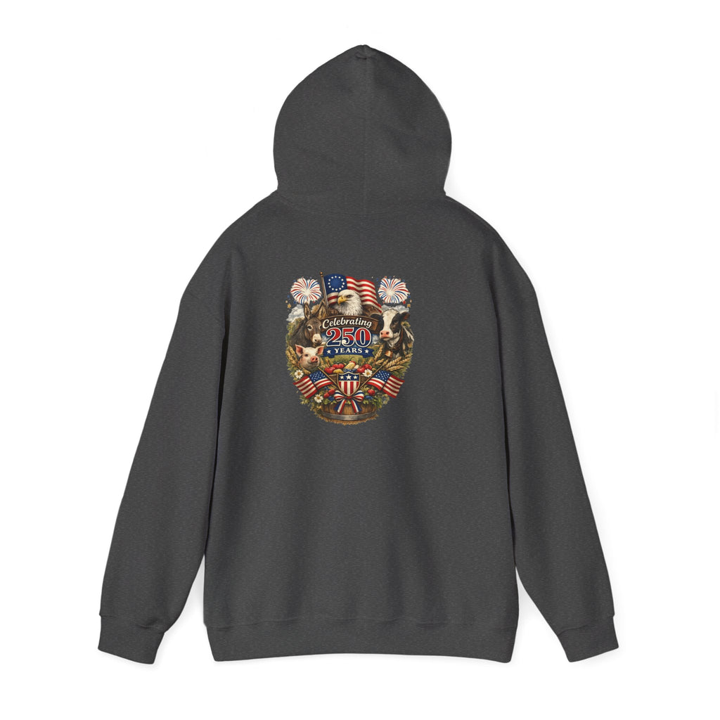 Patriotic Star & Shield Hoodie — USA Flag Graphic Pullover for 4th of July
