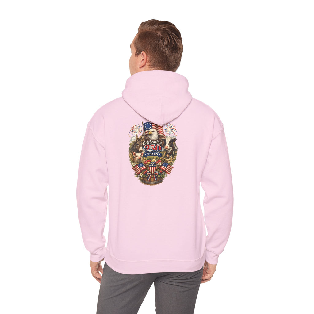 Patriotic Star & Shield Hoodie — USA Flag Graphic Pullover for 4th of July