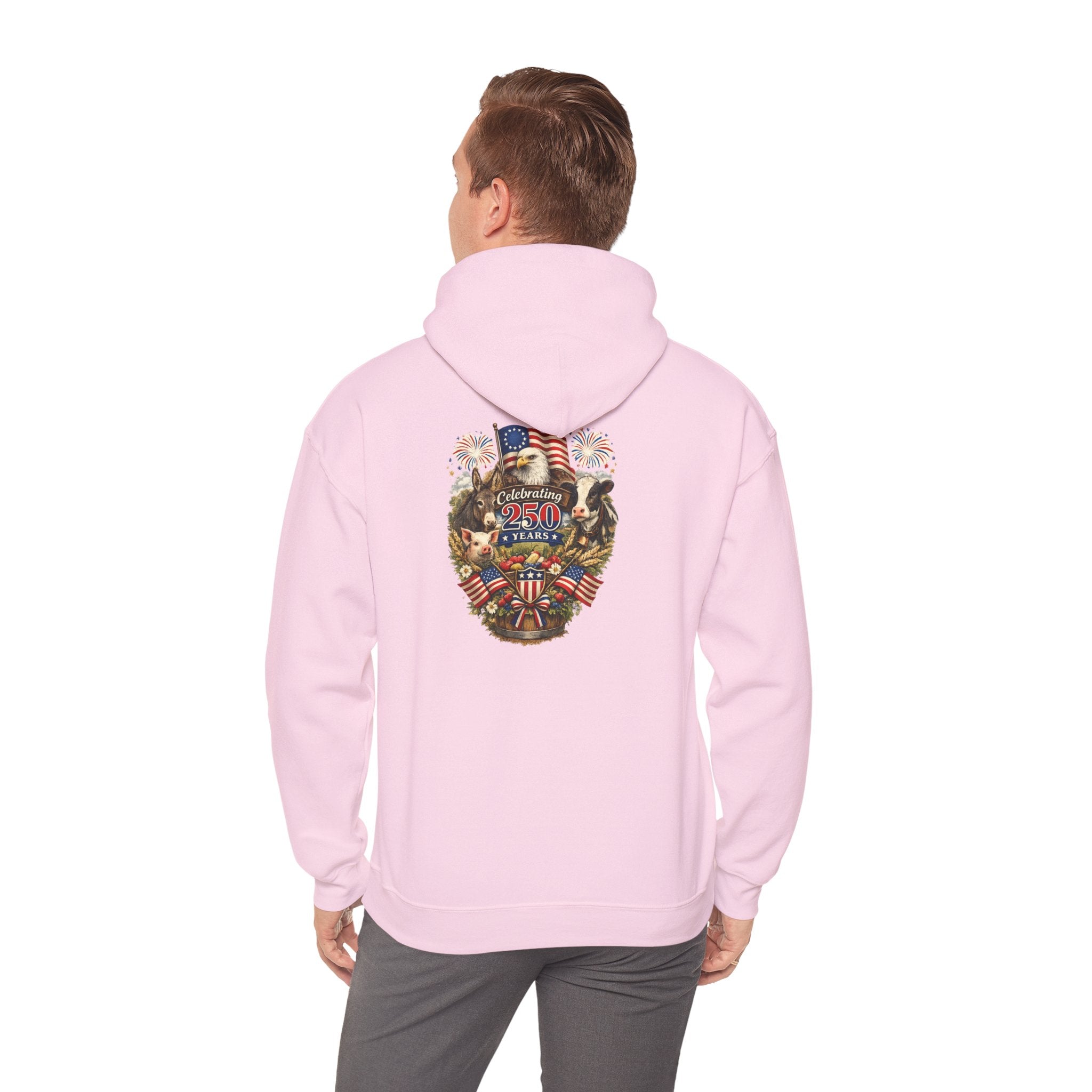 Patriotic Star & Shield Hoodie — USA Flag Graphic Pullover for 4th of July
