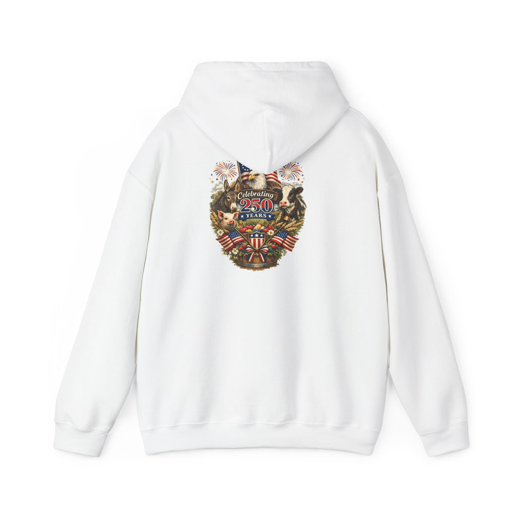Patriotic Star & Shield Hoodie — USA Flag Graphic Pullover for 4th of July