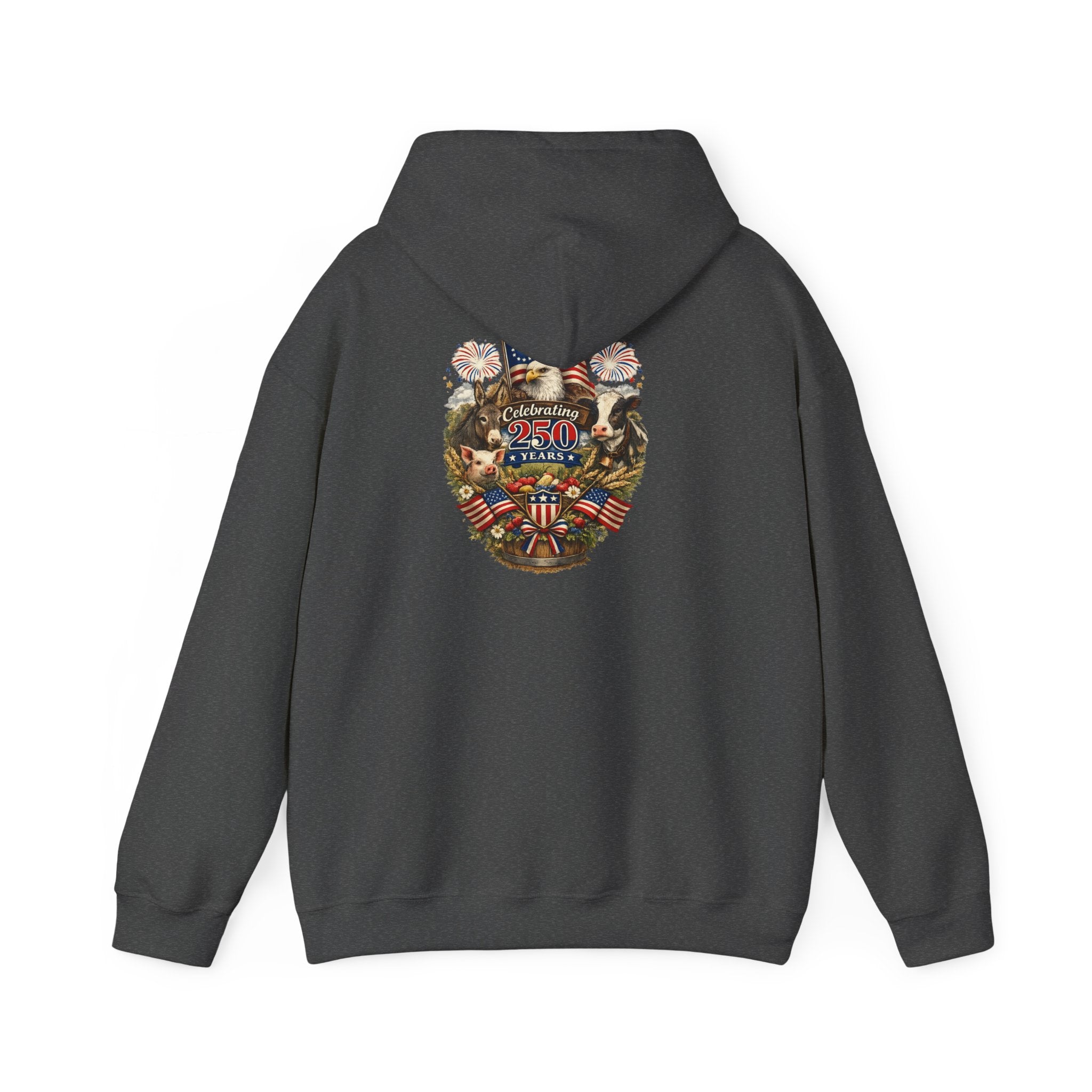 Patriotic Star & Shield Hoodie — USA Flag Graphic Pullover for 4th of July