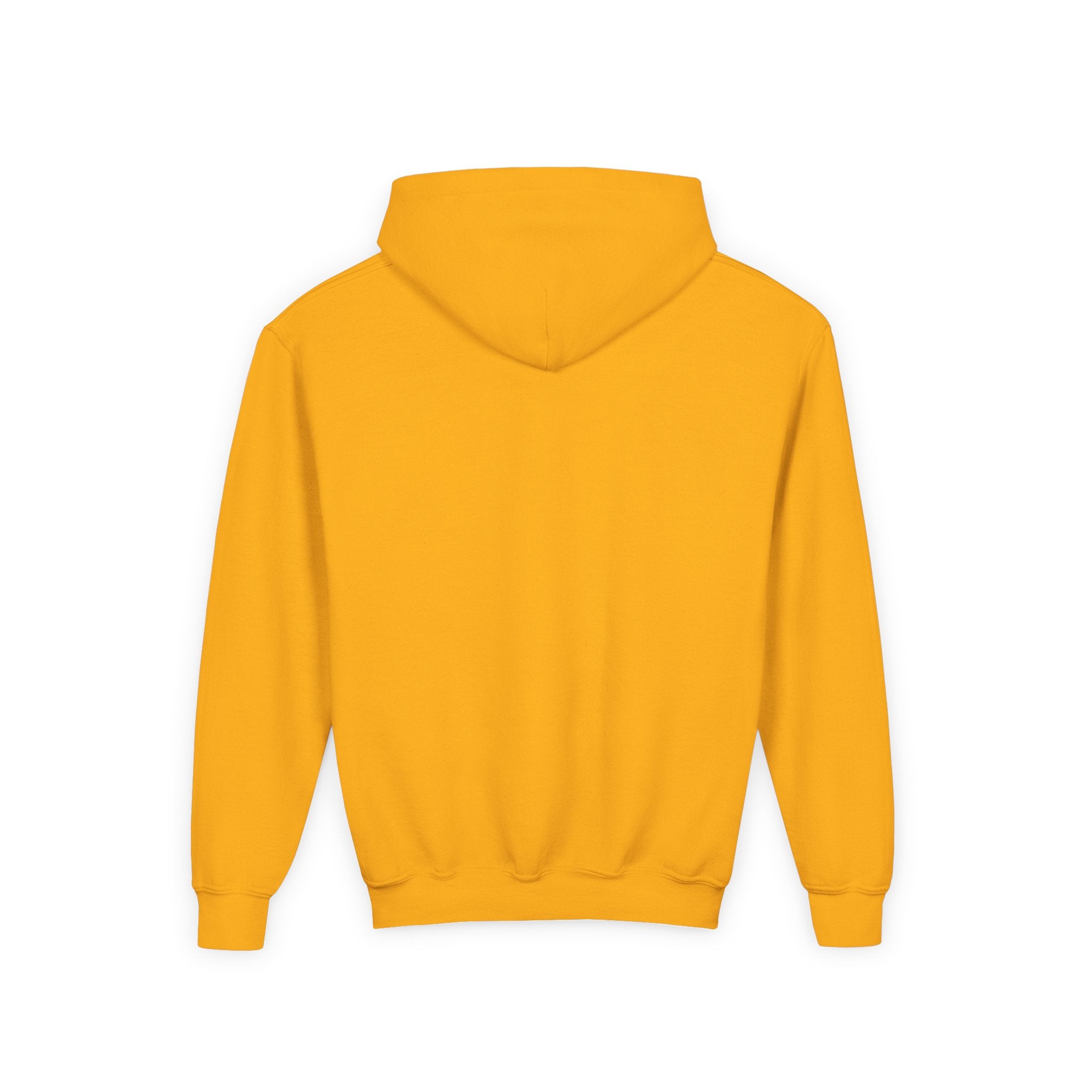 Youth Hoodie — "Don't Let Hard Days Win" Inspirational Graphic Sweatshirt