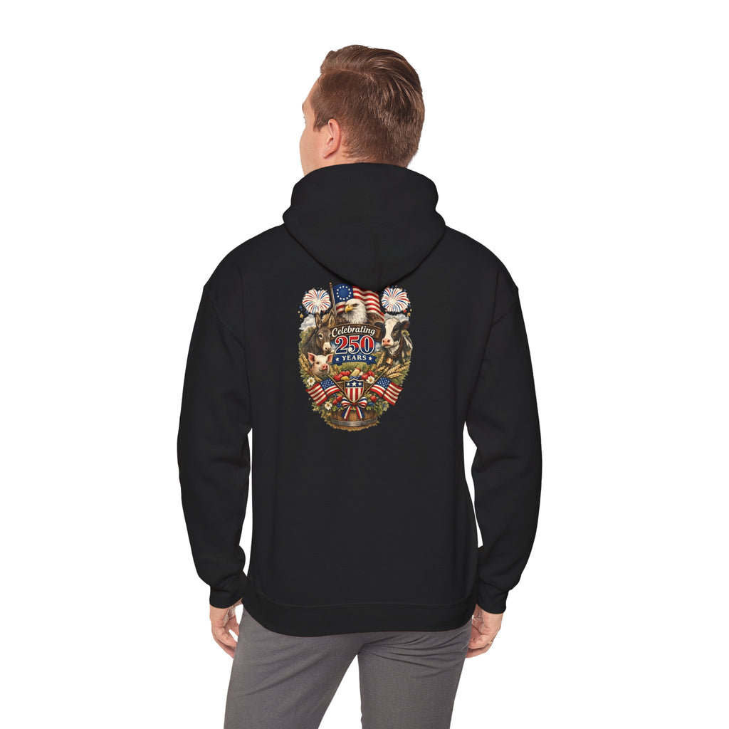 Patriotic Star & Shield Hoodie — USA Flag Graphic Pullover for 4th of July