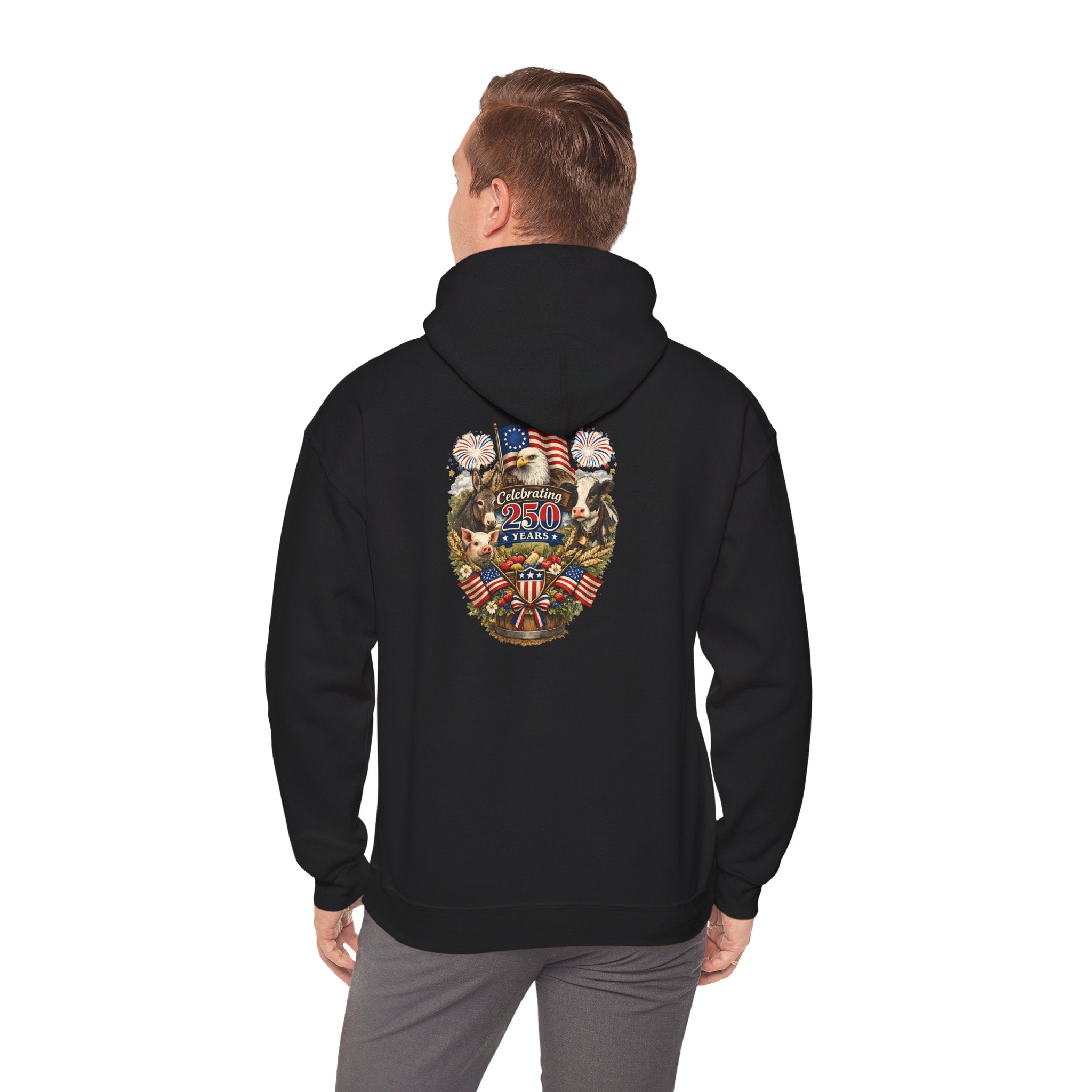 Patriotic Star & Shield Hoodie — USA Flag Graphic Pullover for 4th of July