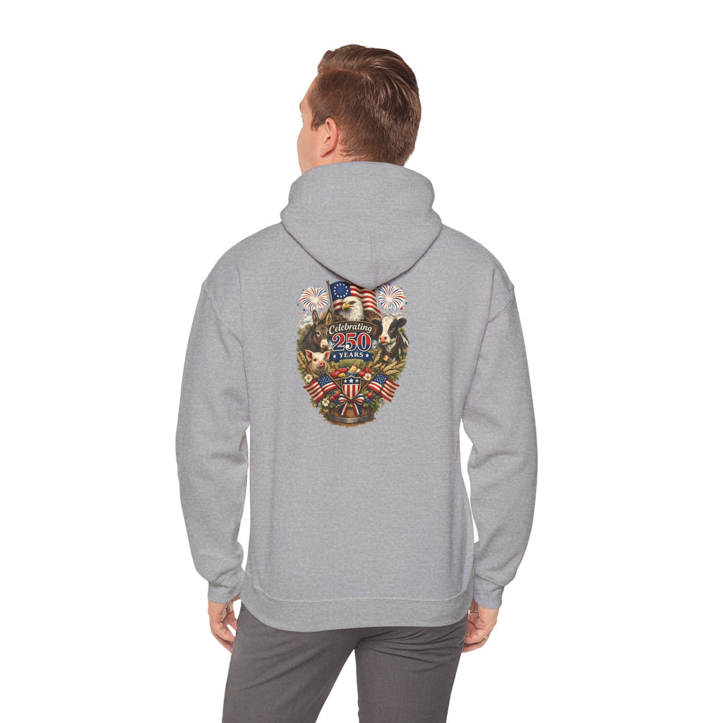 Patriotic Star & Shield Hoodie — USA Flag Graphic Pullover for 4th of July