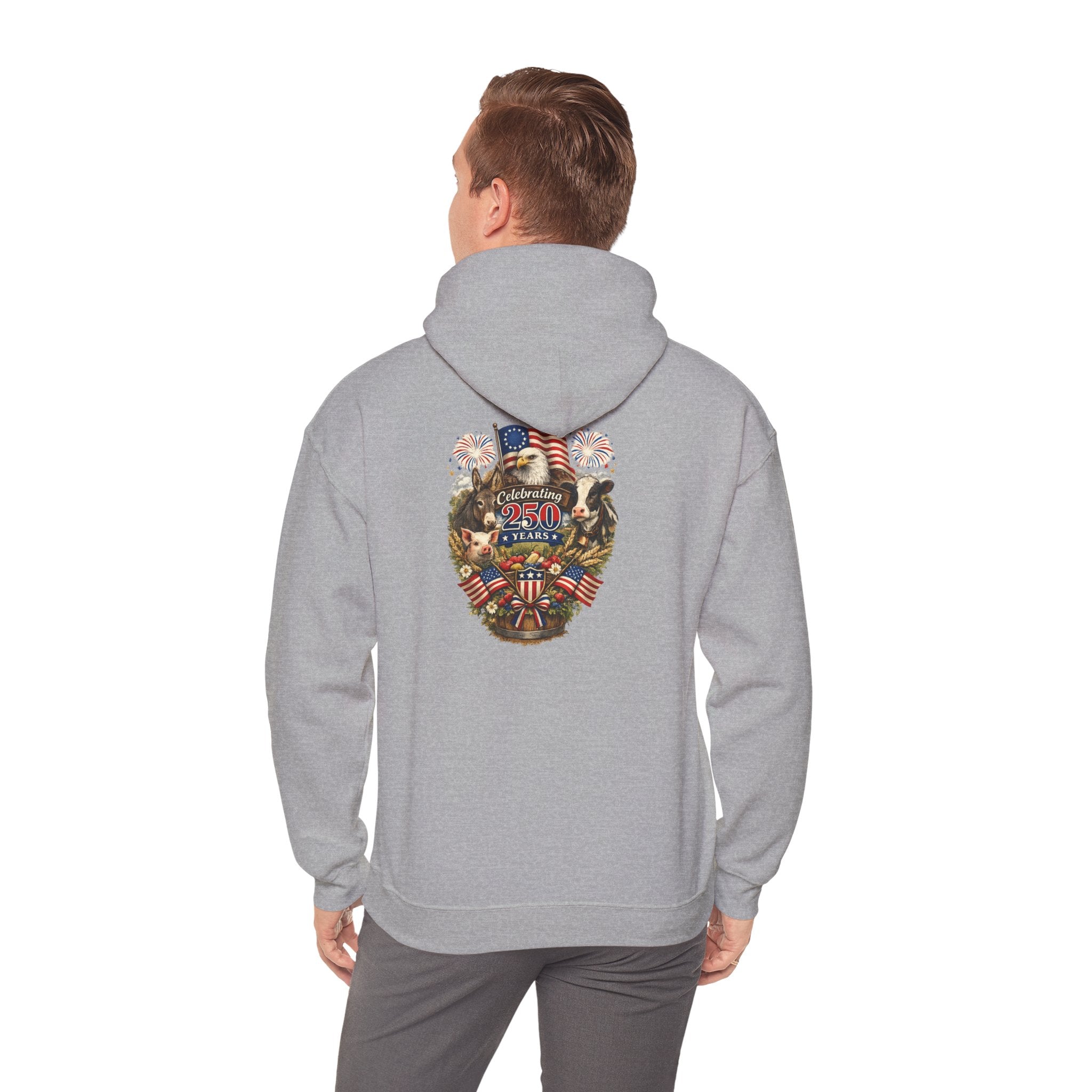 Patriotic Star & Shield Hoodie — USA Flag Graphic Pullover for 4th of July