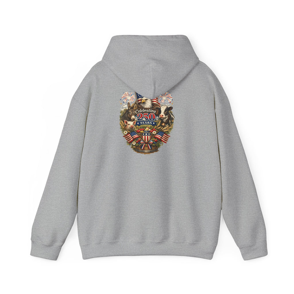 Patriotic Star & Shield Hoodie — USA Flag Graphic Pullover for 4th of July