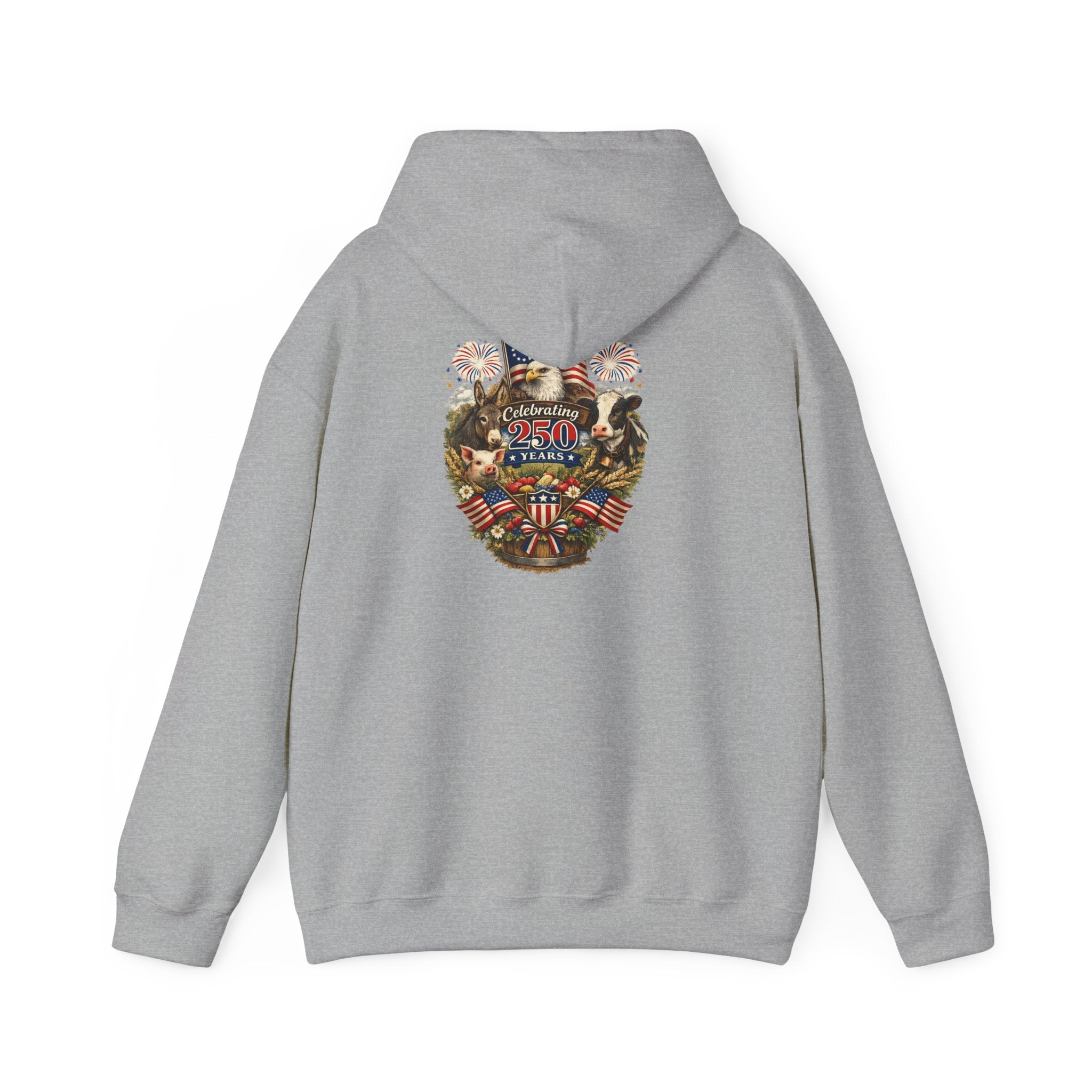 Patriotic Star & Shield Hoodie — USA Flag Graphic Pullover for 4th of July