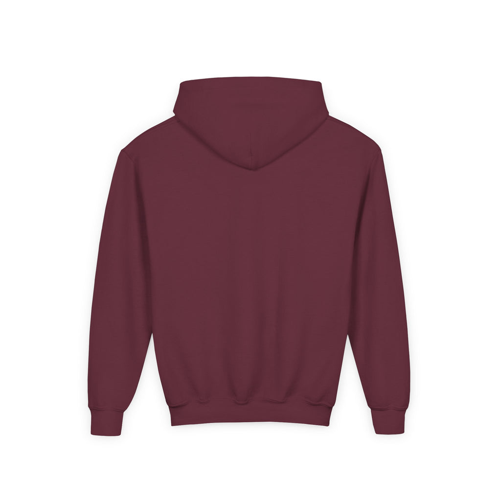 Youth Hoodie — "Don't Let Hard Days Win" Inspirational Graphic Sweatshirt