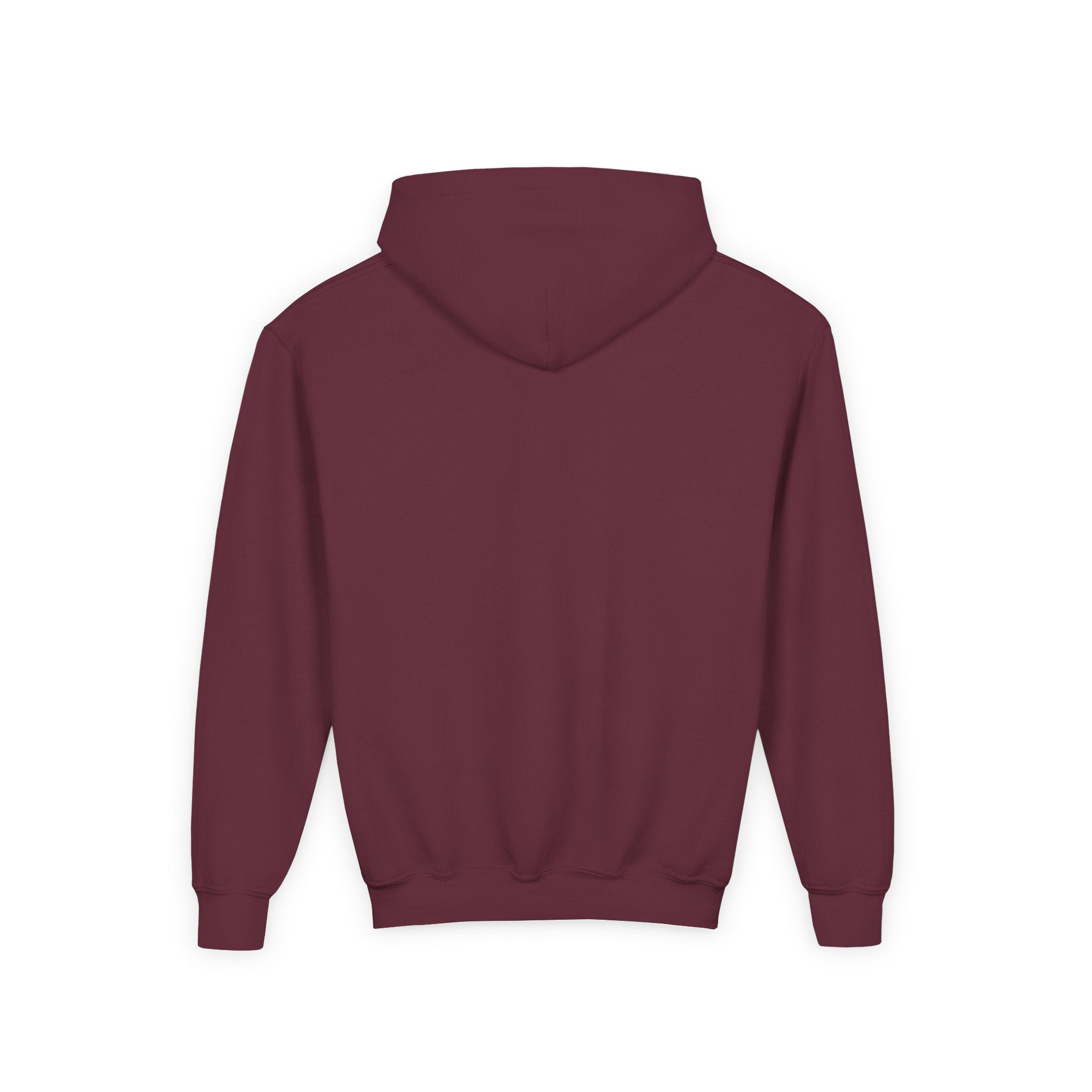 Youth Hoodie — "Don't Let Hard Days Win" Inspirational Graphic Sweatshirt