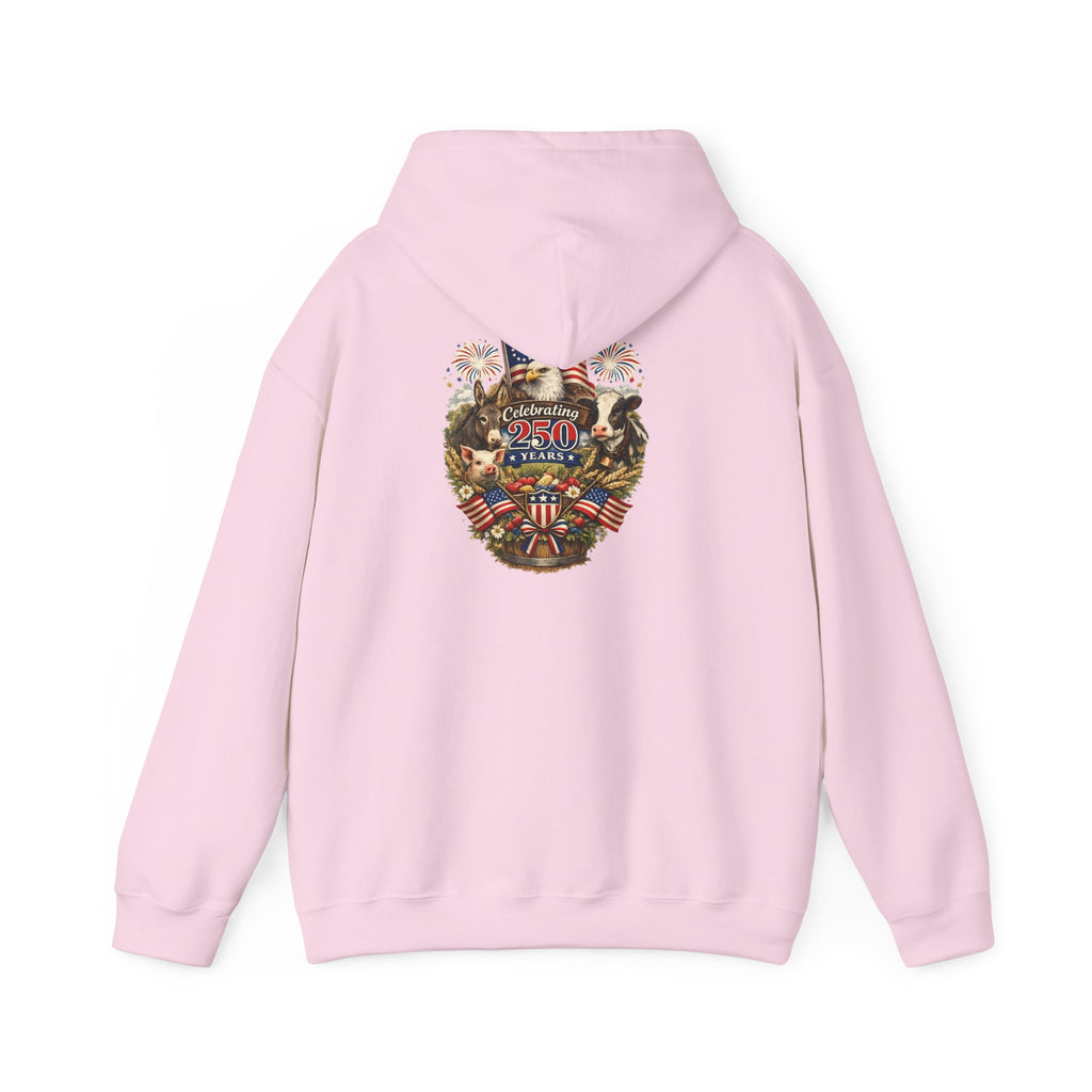 Patriotic Star & Shield Hoodie — USA Flag Graphic Pullover for 4th of July
