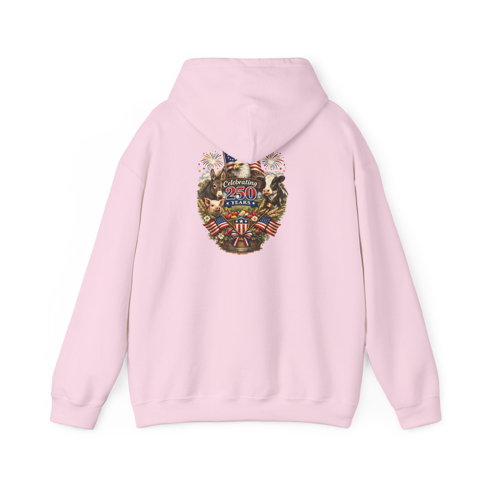 Patriotic Star & Shield Hoodie — USA Flag Graphic Pullover for 4th of July