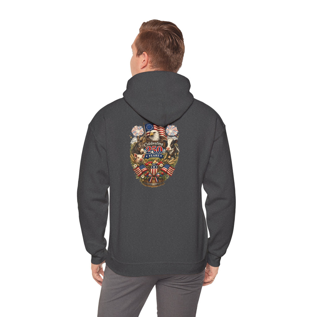 Patriotic Star & Shield Hoodie — USA Flag Graphic Pullover for 4th of July