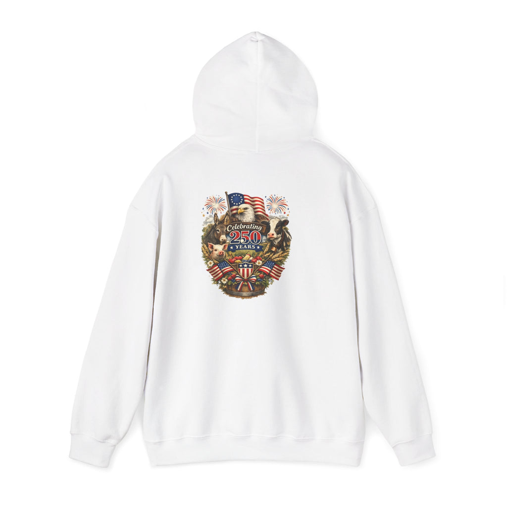 Patriotic Star & Shield Hoodie — USA Flag Graphic Pullover for 4th of July