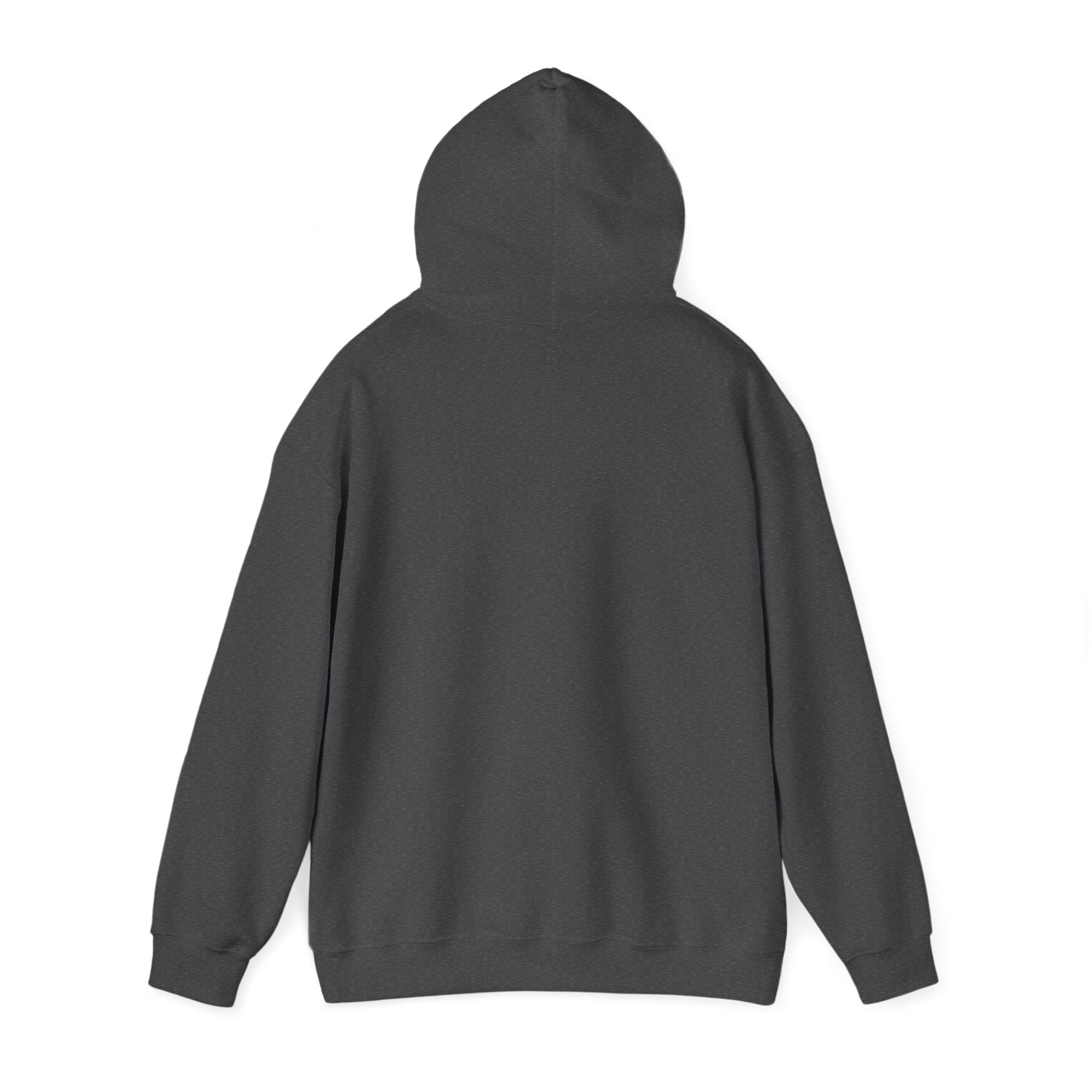 Inspirational 'Don't Let Hard Days Win' Hoodie — Cozy Motivational Sweatshirt