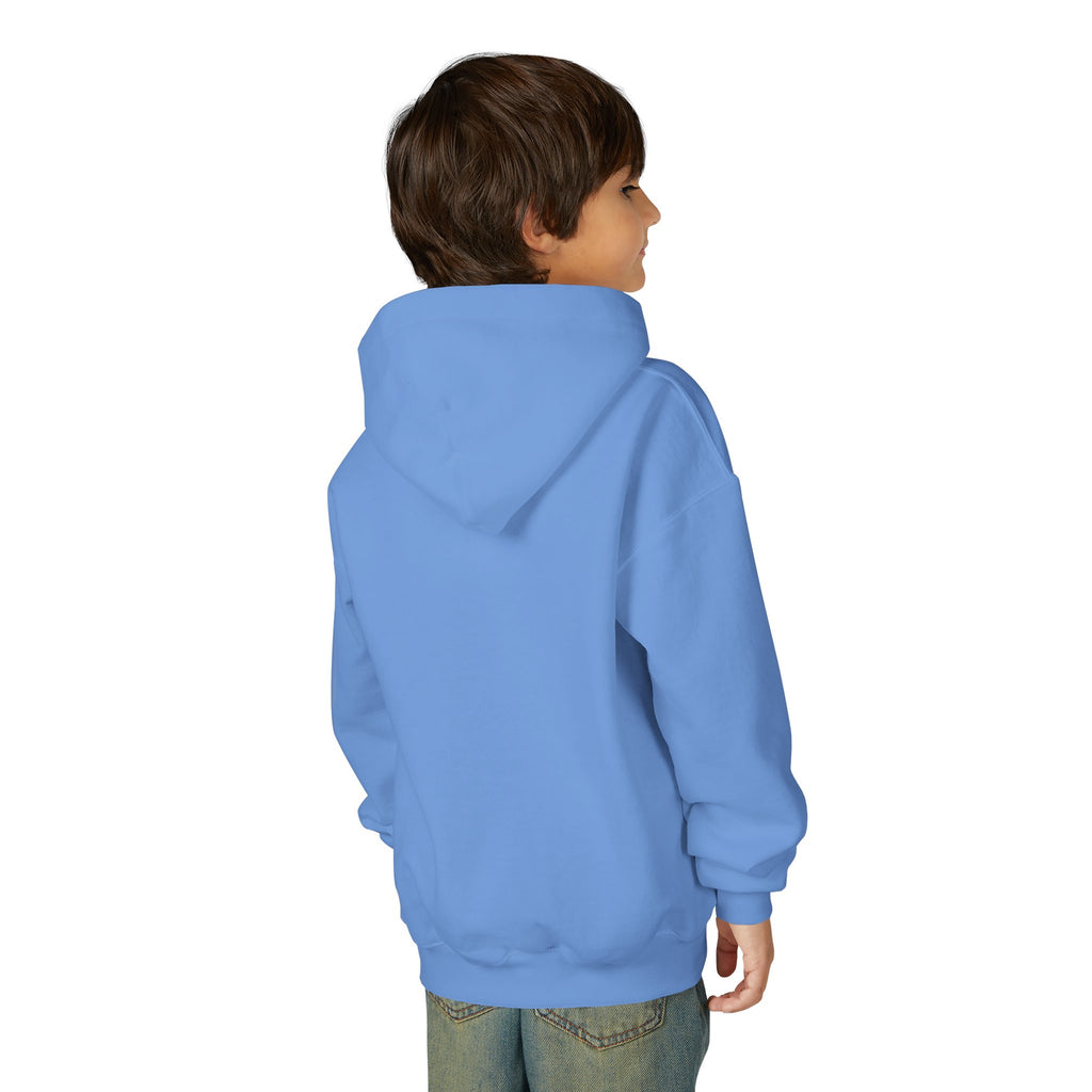 Youth 4th of July Hoodie - "Celebrate 250 Years" Cute Patriotic Animals Design