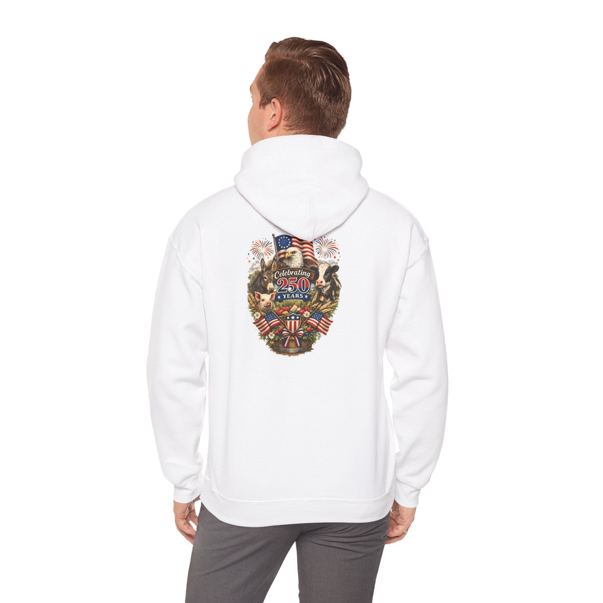 Patriotic Star & Shield Hoodie — USA Flag Graphic Pullover for 4th of July
