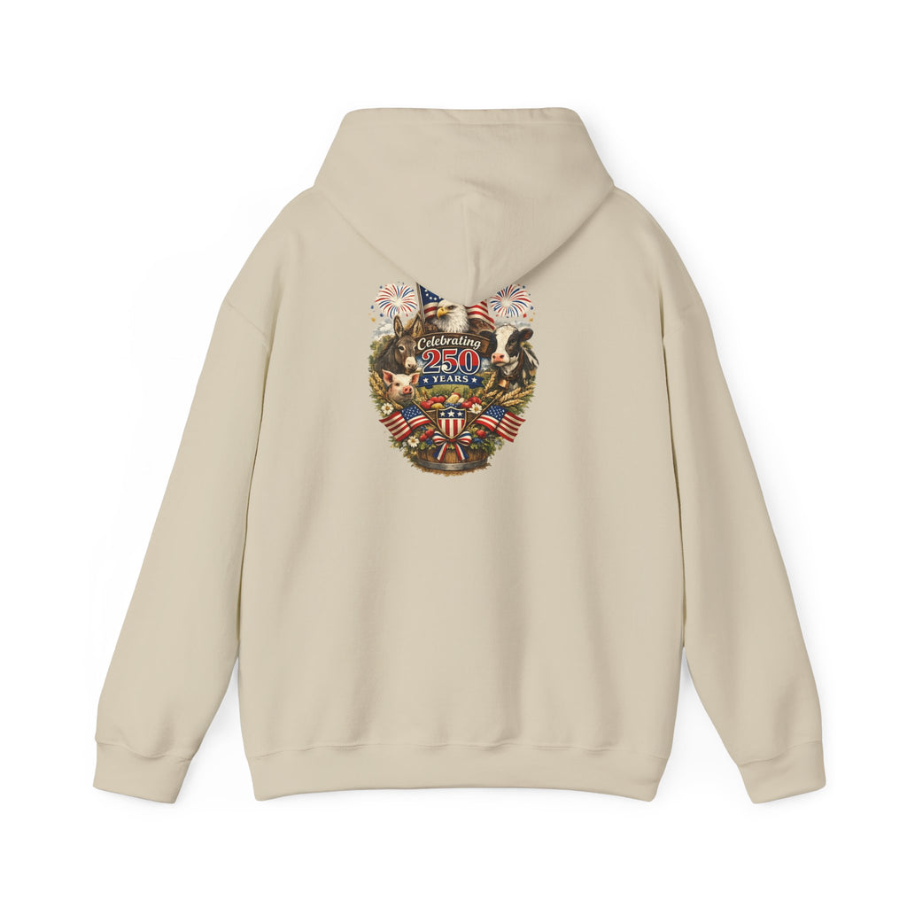 Patriotic Star & Shield Hoodie — USA Flag Graphic Pullover for 4th of July