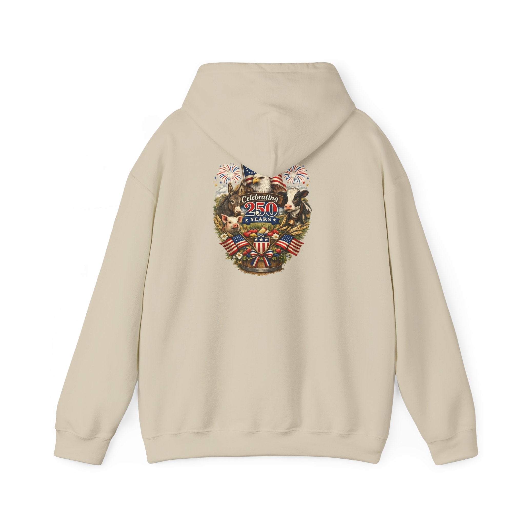 Patriotic Star & Shield Hoodie — USA Flag Graphic Pullover for 4th of July