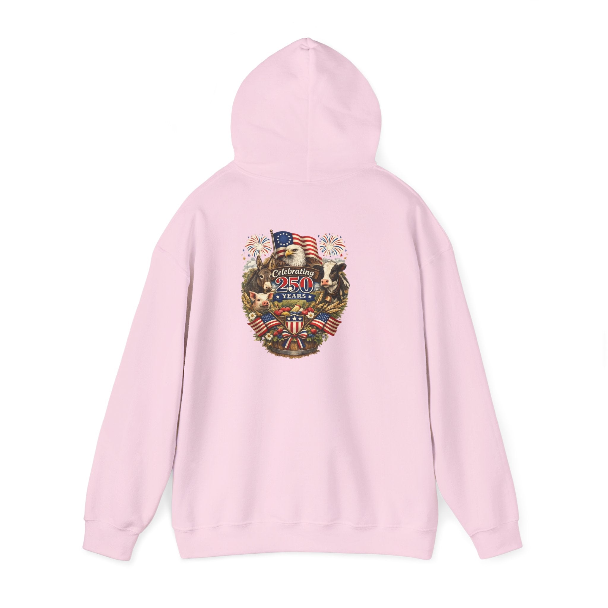Patriotic Star & Shield Hoodie — USA Flag Graphic Pullover for 4th of July