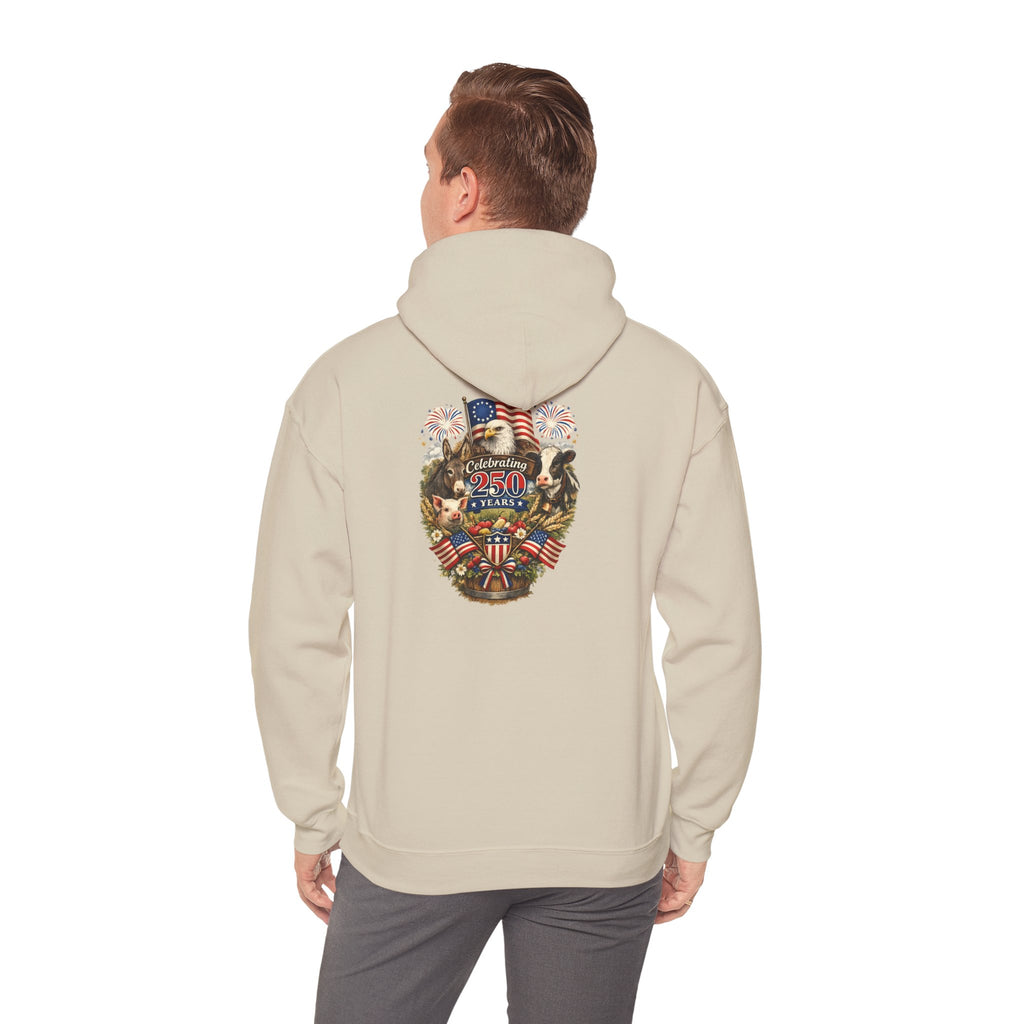 Patriotic Star & Shield Hoodie — USA Flag Graphic Pullover for 4th of July