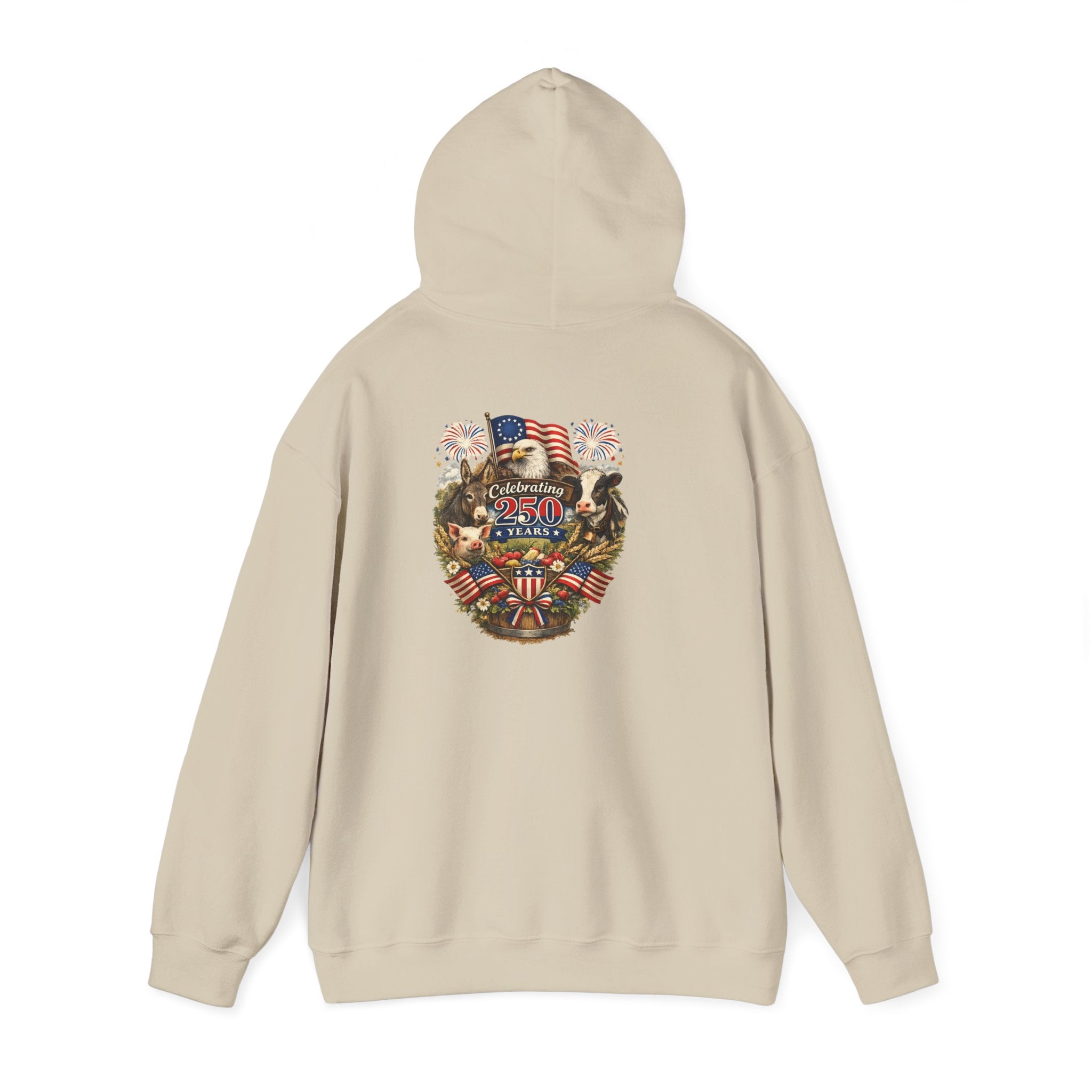 Patriotic Star & Shield Hoodie — USA Flag Graphic Pullover for 4th of July