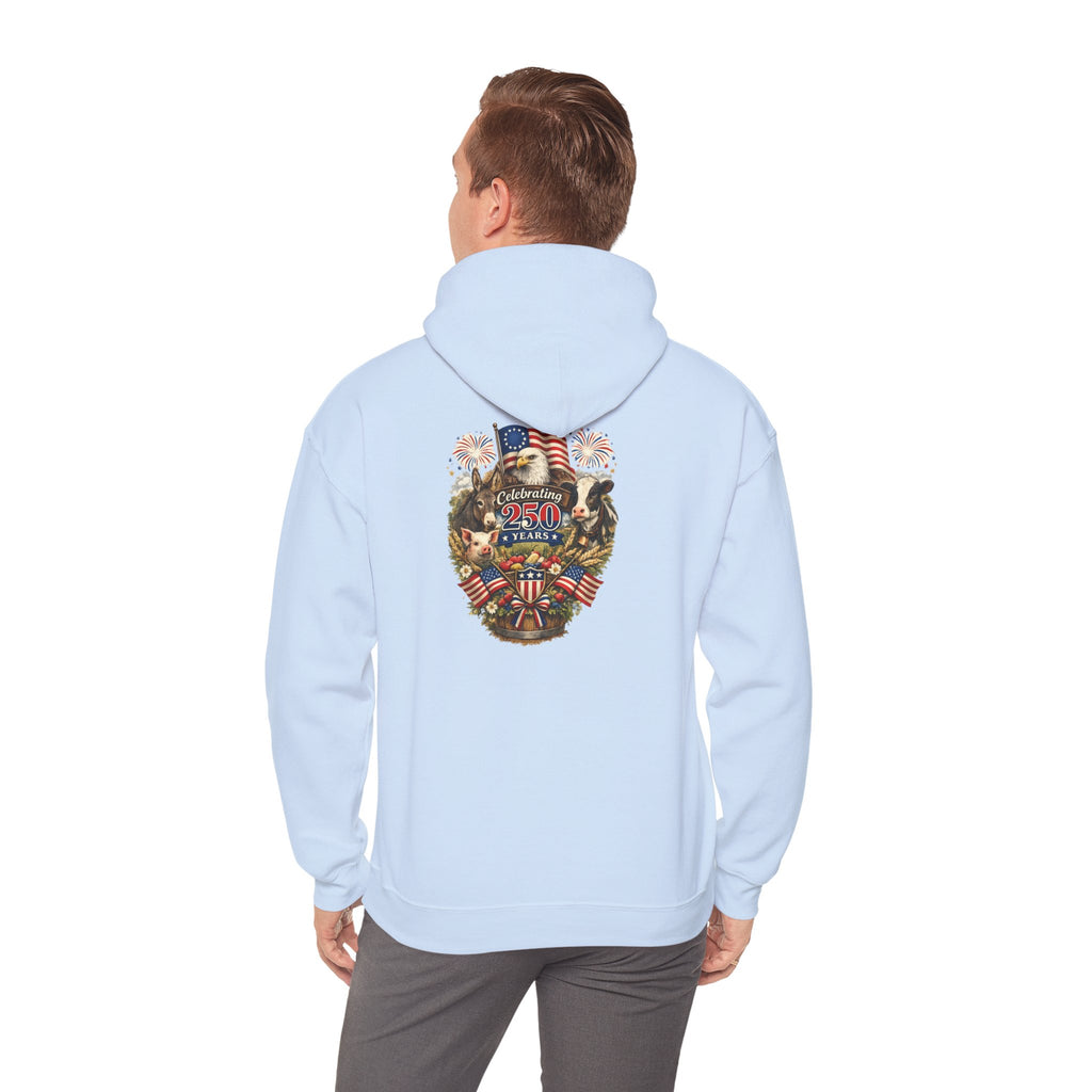 Patriotic Star & Shield Hoodie — USA Flag Graphic Pullover for 4th of July