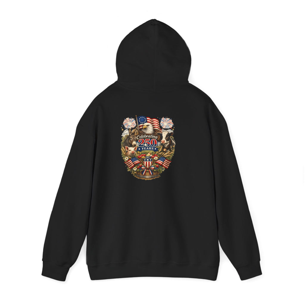 Patriotic Star & Shield Hoodie — USA Flag Graphic Pullover for 4th of July