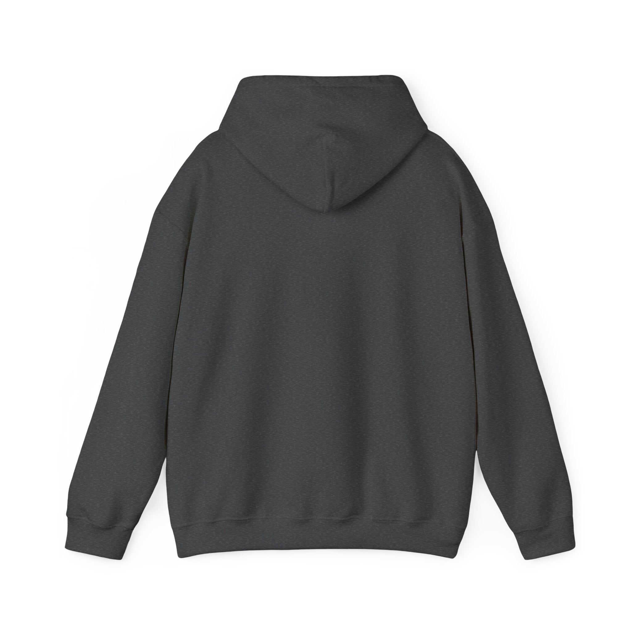 Inspirational 'Don't Let Hard Days Win' Hoodie — Cozy Motivational Sweatshirt
